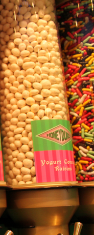 File:YogurtCoveredRaisins.png