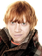 Ron-Weasley-Harry-Potter-e-i-Doni-della-Morte.jpg