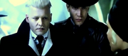 Grindelwald-animali.png