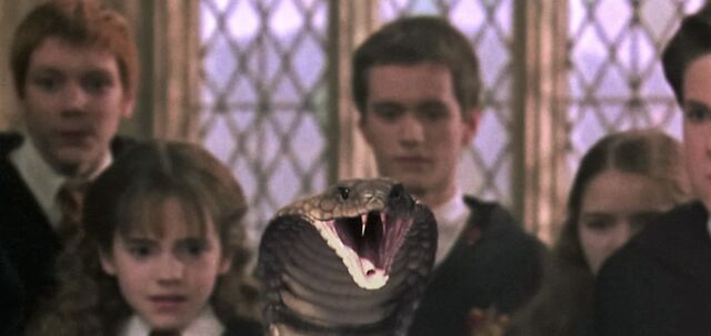 File:Harry-potter2-duelling club.jpg