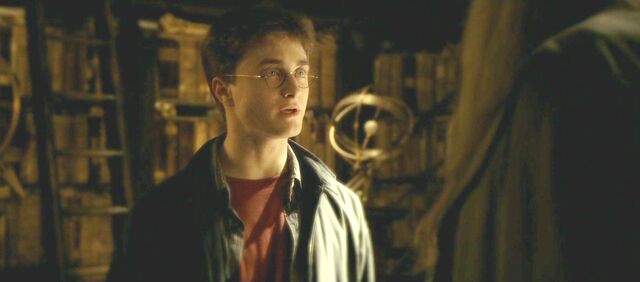 File:Halfblood-03434.jpg