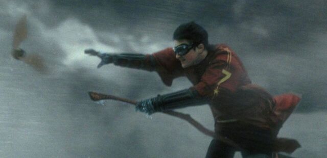 File:Harry chasing the Snitch.jpg