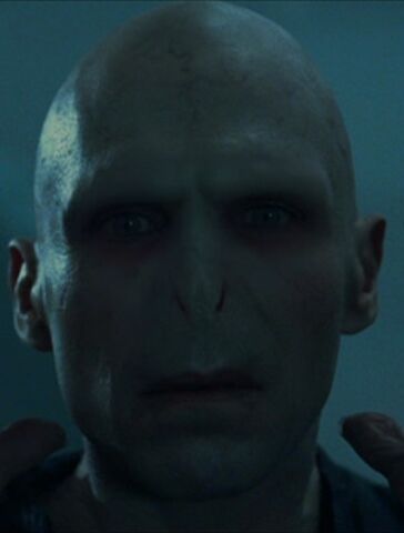 File:VoldemortFaceGoF.jpg