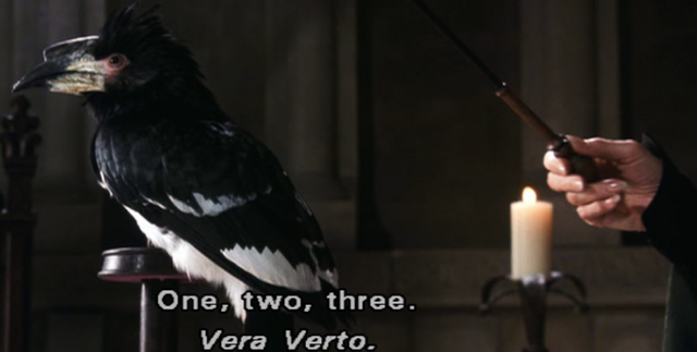 File:VeraVertoref.png