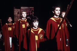 1quidditch.jpg