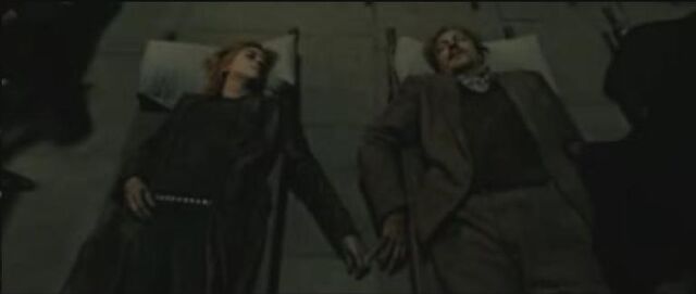 File:Lupin & tonks Dead.jpg