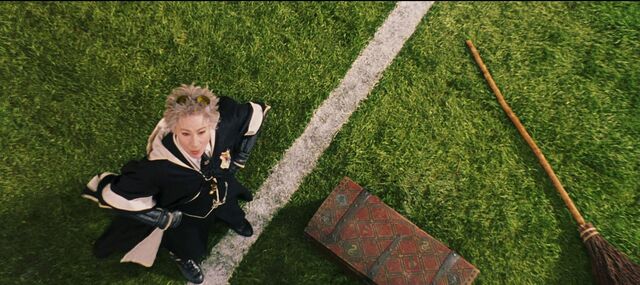File:Hooch Quidditch.jpg