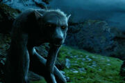 Harrypotter weerwolf a.jpg
