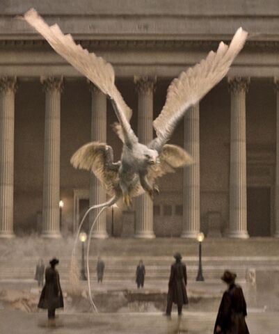 File:Thunderbird.jpg