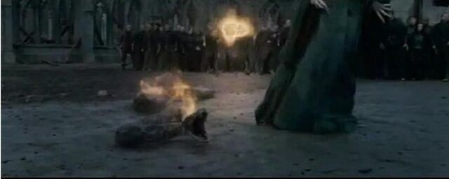 File:Harry attacking nagani.jpg