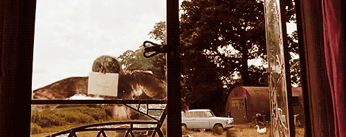 https://vignette4.wikia.nocookie.net/harrypotter/images/5/56/Errol_clumsy.gif/revision/latest?cb=20160523193457