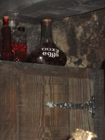 File:Doxy eggs1.jpg