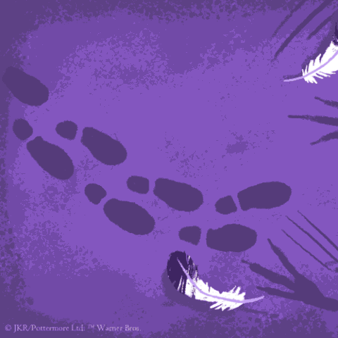 File:Book3 AnimatedSocialAsset partner.gif