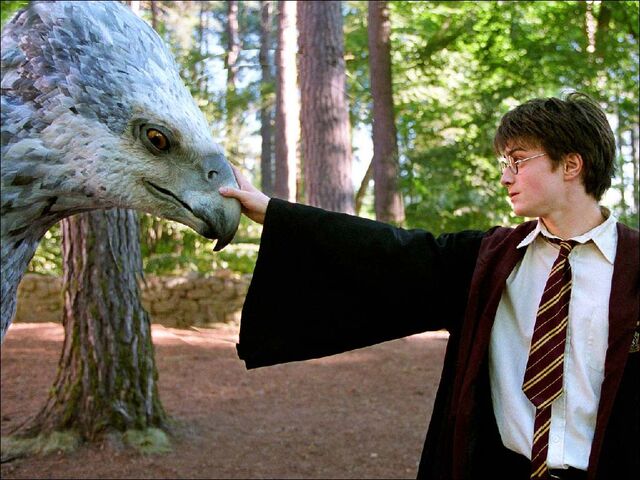 File:Harry buckbeak5.jpg