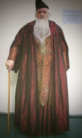 File:PeterPaulBurrows-Wizard.jpg