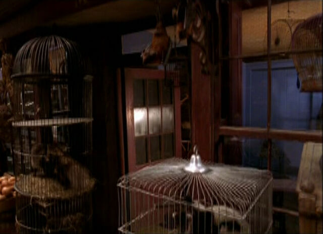 File:MagicalMenagerie.jpg