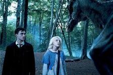 Luna103.jpg