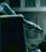 Nagini 002.png