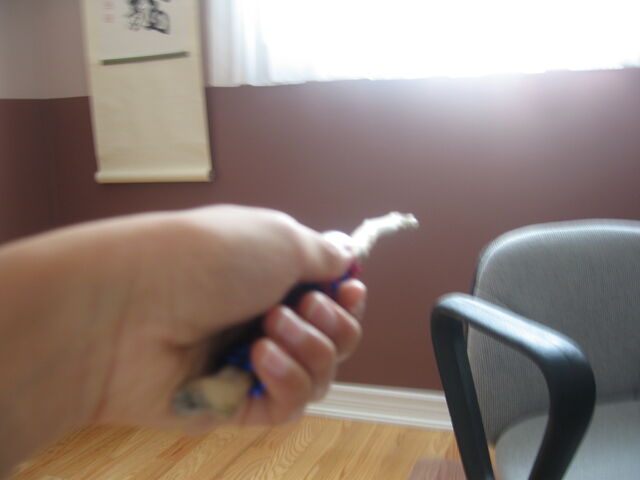 File:IMG 5980.jpg