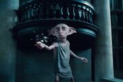 Dobby.jpg