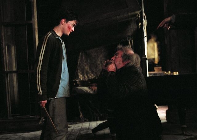 File:Harrry saves Pettigrew.jpg