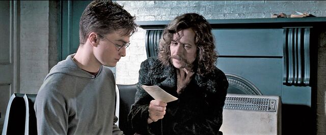 File:Order-of-the-phoenix-sirius harry.jpg