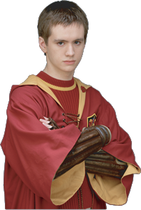 Bestand:Oliverwood1.png