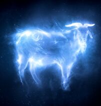 My patronus.jpg