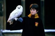 Harry.jpg