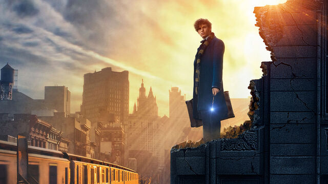 File:Fantastic-beasts-skin.jpg