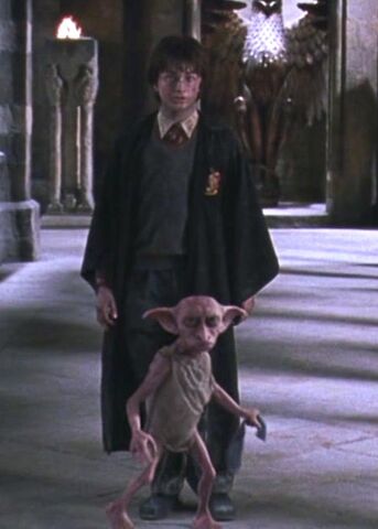 File:Dobby protecting Harry.jpg