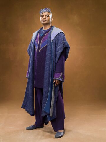 File:Kingsley Shacklebolt.jpg