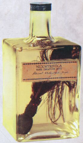 File:Nux Myristica.jpg