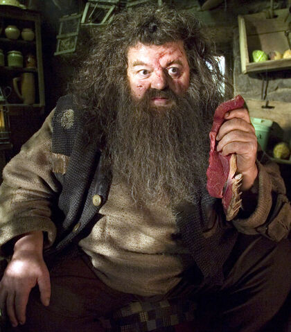 File:Rubeus Hagrid OOTP.jpg