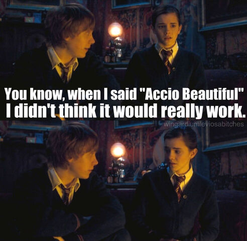 File:Accio-Beautiful-harry-potter-vs-twilight-18451801-500-487.jpg