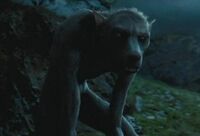 Loup-garou.jpg