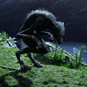 Lupin werewolf.gif