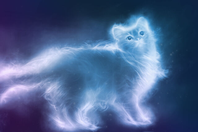 Datei:Patronus Kätzchen.jpg