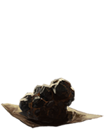 Bezoar-lrg.png