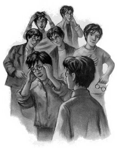 Fil:SyvPotter.jpg