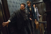 Fantastic-beasts-and-where-to-find-them-trio.jpg