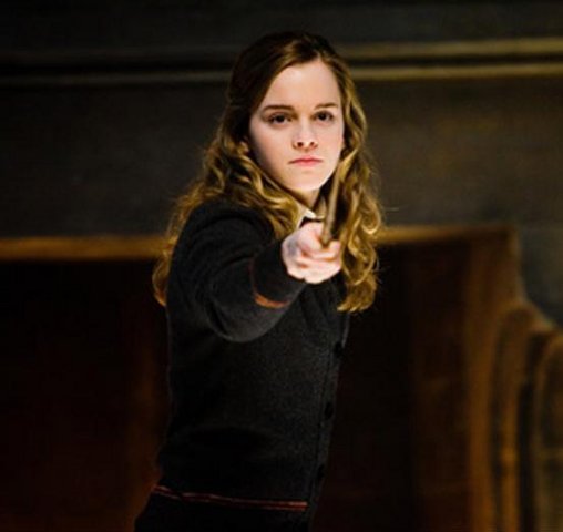 File:HermioneAcceptedCombativePosition.png