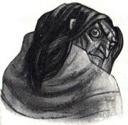 Mad Eye Moody.jpg