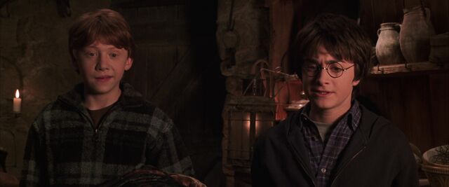 File:Harry-potter2-visit to Hagrid's hut.jpg