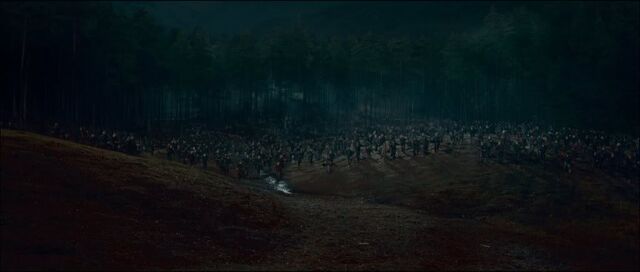 File:Battle of Hogwarts aliades.jpg