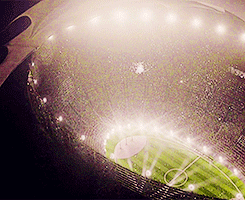 Tumblr m9ipubOvE71qleyj1o4 r1 250.gif