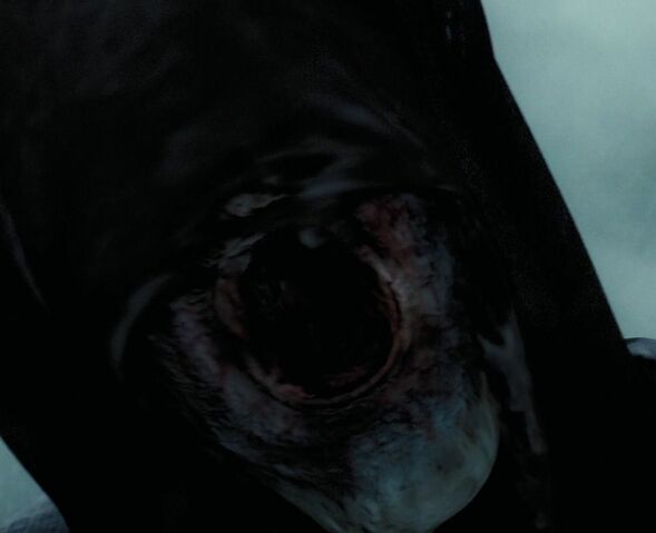 File:Dementors mouth.jpg