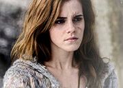 Hermionescars.jpg