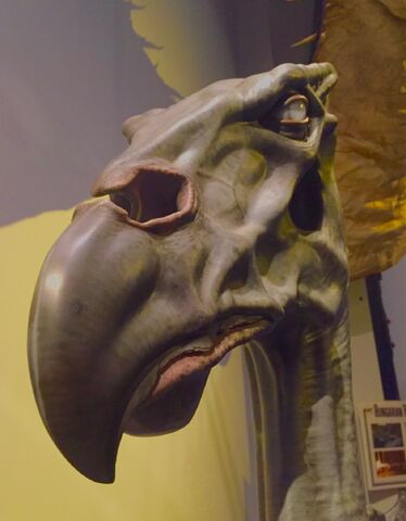 File:Thestral .jpg