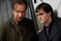 Potter Lupin.jpg